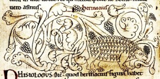 A hedgehog collecting grapes on its quills, from a 12th-century bestiary in the Bodleian Library.