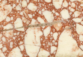 ‘Breccia corallina’ from Turkey