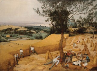 Bruegel’s ‘The Harvesters’ (1565)
