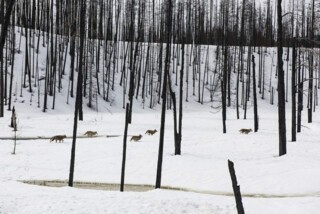 A still from ‘Redoubt’