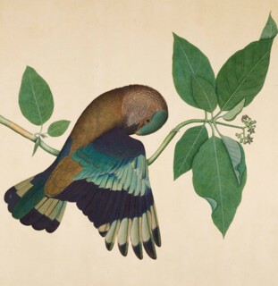 From ‘Forgotten Masters’ at the Wallace Collection