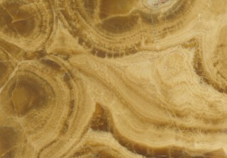 ‘Alabastro a tartaruga’ from Tuscany