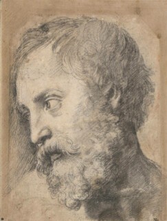 A study for the head of an apostle (possible St Thomas) in the ‘Transfiguration’ (c.1519)