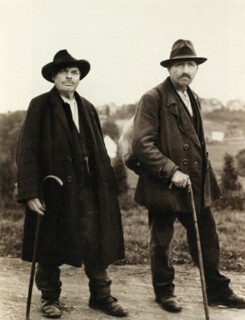 Image from ‘The Robinson Institute’