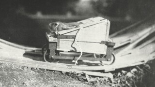 Maurice’s loop-the-loop wheeled box (1910)