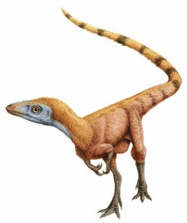 Sinosauropteryx