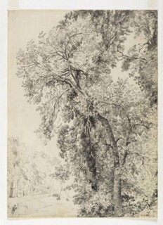  A study of ash trees by John Constable, c.1821. © Victoria and Albert Museum