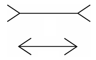 The Müller-Lyer illusion