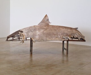 ‘Basking Shark Currach’ (2013)
