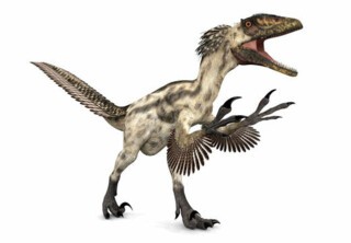 Deinonychus