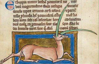 From ‘The Book of Beasts’