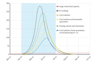The results of modelling carried out by the Imperial team showing the results of different mitigation strategies on demand for critical care beds.