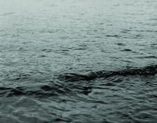 Towards a Gestalt Image – Loch Ness & Fact. Research Ongoing since 2000 A.D.