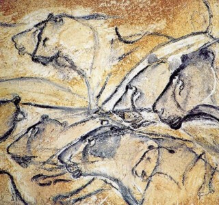 Lions in the Chauvet cave.