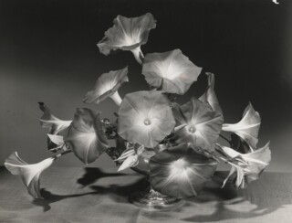 Morning glory arrangement, c.1930.