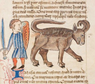 From ‘The Book of Beasts’