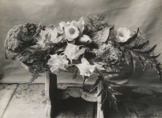 Datura and waterlilies, c.1950