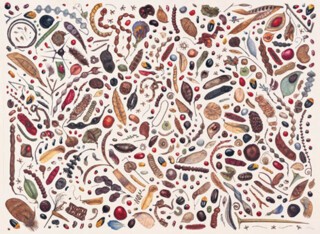 ‘Bean Painting’ by Rachel Pedder-Smith (2004)