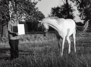 ‘Untitled (Horse), Invisible Painting/Energy’ by Bruno Jakob (2003)