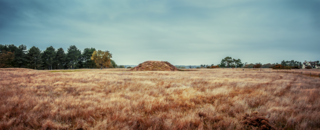 Sutton Hoo © Marc Atkins/marcatkins.com