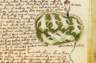 Detail from The Voynich Manuscript