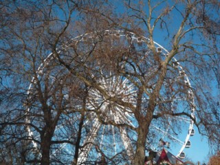 Ferris wheel