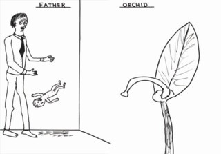 David Shrigley, ‘Orchid’ and ‘Father’.