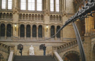 Natural History Museum in London
