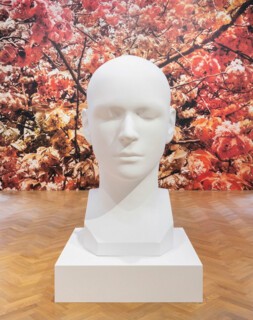 ‘The Standard Head’ (2020).