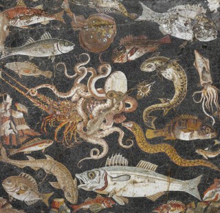 Part of the mosaic from the House of the Faun