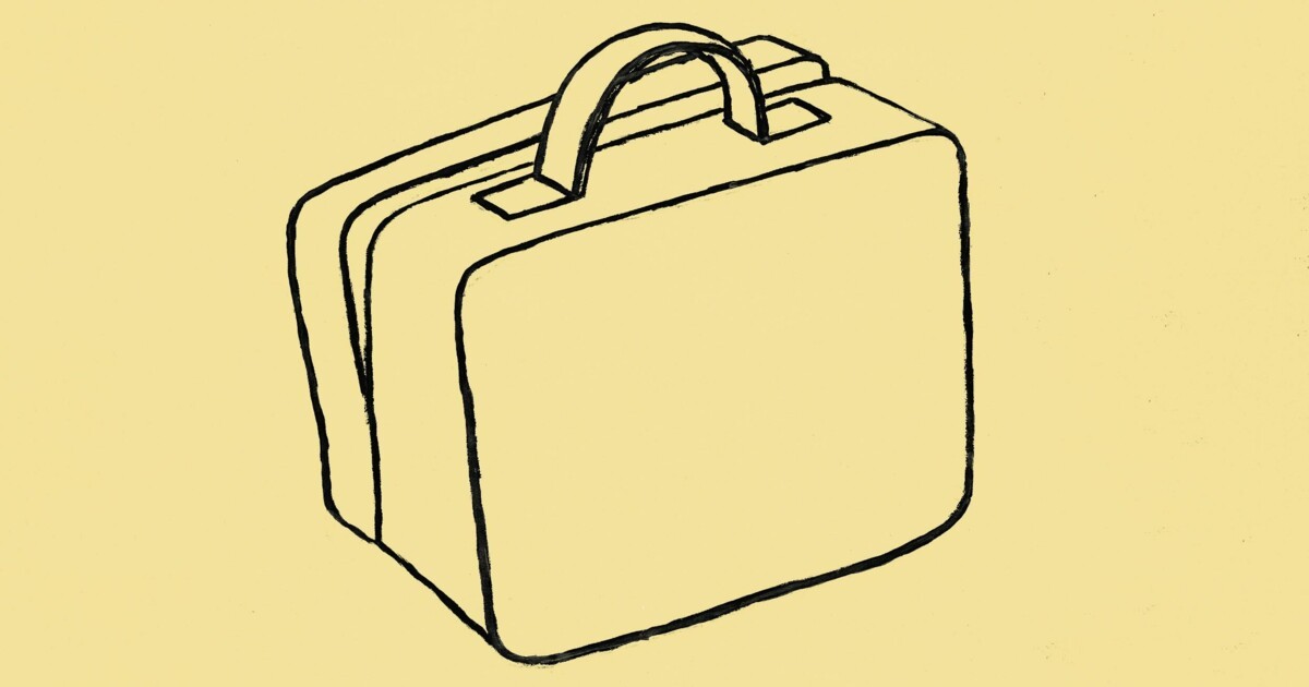 Frances Stonor Saunders · The Suitcase