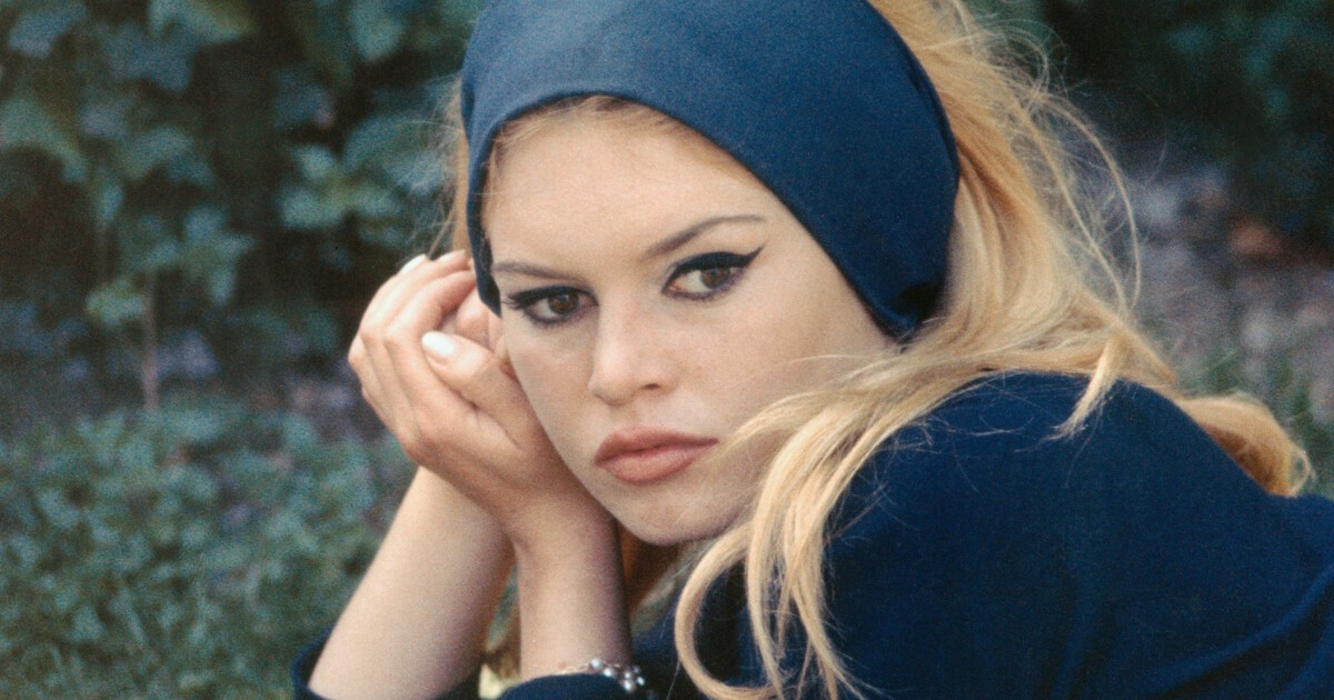 Jeremy Harding: Diary