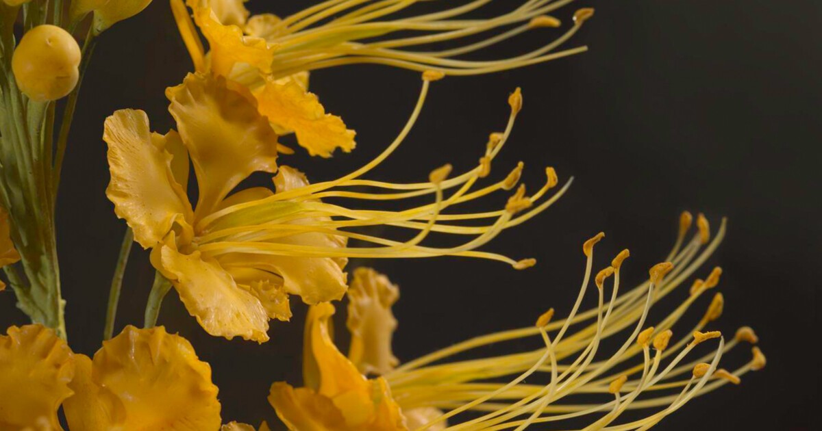 Christian Lorentzen: I sympathise with the child