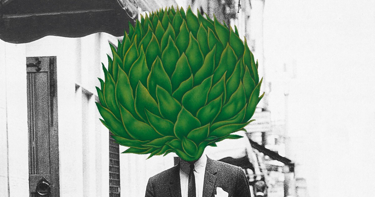 Emily Berry · I am entirely made of wood: Ben Pester’s Surreal Scrutiny
