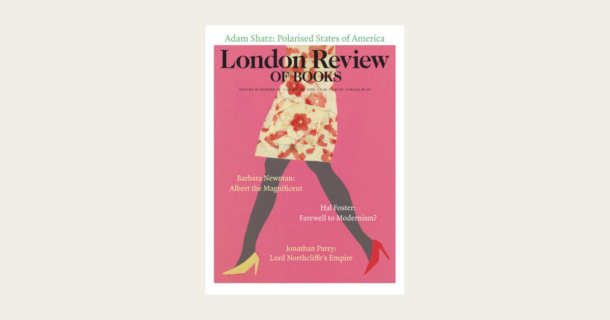 Adam Shatz · 'You think our country's so innocent?': Polarised States of  America · LRB 1 December 2022